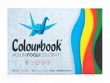 Album Fogli Colorati 24x33 Colourbook 90 g 10 Fogli – Confezione 20 Pz