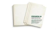 Carta Pergamena Bianca A4 160 g 50 Fogli per Stampe e Attestati