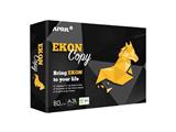Carta A3 Ekon Copy 80 g - Confezione da 5 risme