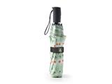 Ombrello Compatto Drycase Automatico 56cm Antivento – 12 Pezzi