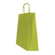 BUSTA 45x15x50 PZ.25 VERDE PISTACCHIO*