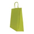 BUSTA 45x15x50 PZ.25 VERDE PISTACCHIO*