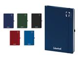 Agenda Giornaliera Colourbook 2027 17x24 cm - 10 pezzi