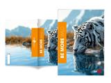 Quaderno A4 Be More Wild Rigatura C - 10 pezzi