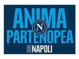 Puzzle SSC Napoli by Colourbook 500 Pezzi 35x50 cm - 12 pezzi