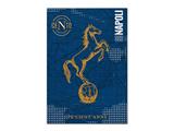 Puzzle SSC Napoli by Colourbook 1000 Pezzi 50x70 cm - 12 pezzi